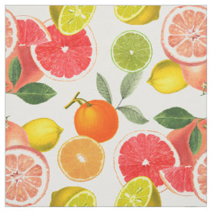 Tissu Fruits d'agrumes colorés