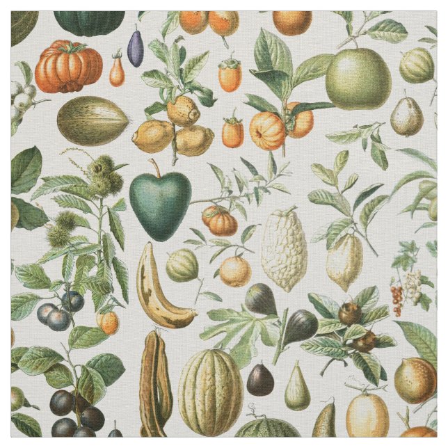 Tissu Fruits de Millot Adolphe (Échantillon)
