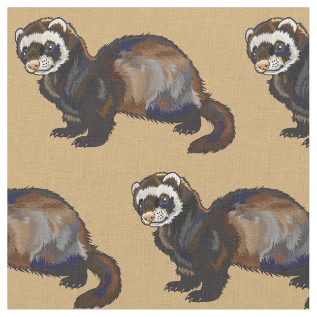 Tissu furet (Mustela putorius furo) (Fermer)