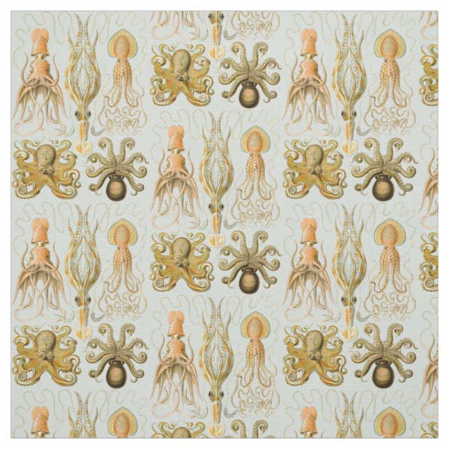 Tissu Gamochonia d'Ernst Haeckel (Échantillon)