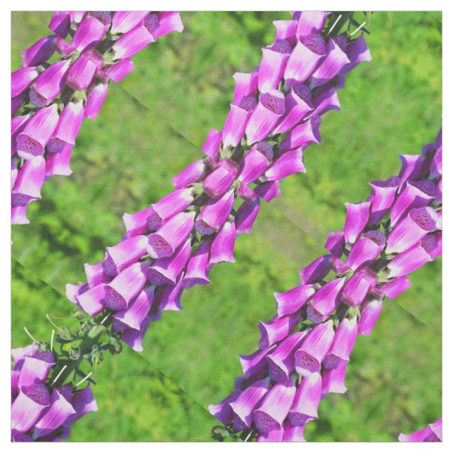 Tissu Gants de renard (Échantillon)