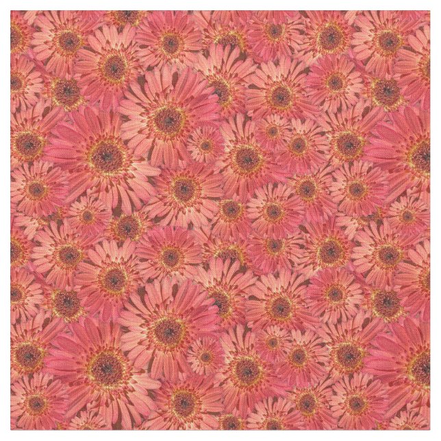 Tissu Gerbera couleur corail Daisies Photos Motifs (Fermer)