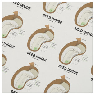Tissu Graine à l'intérieur d'humour d'anatomie d'haric