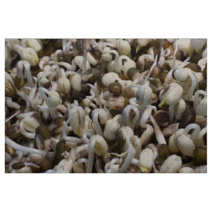 Tissu Graisses Bio - Un Superaliment Emballé De Nutrimen