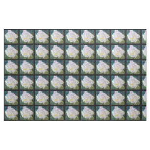 Tissu Grand gardénia crème
