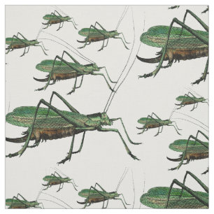 Tissu Gravure vintage de grandes sauterelles vertes