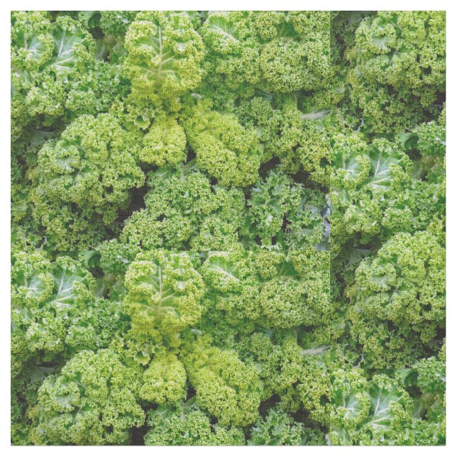 Tissu Green cabbage (Fermer)