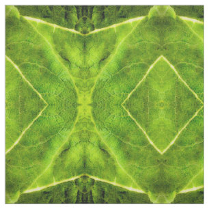 Tissu Green Mullein