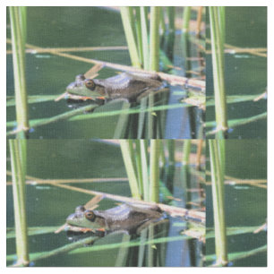 Tissu Grenouille