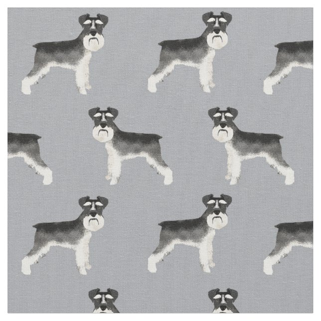 Tissu grise de chien schnauzer (Fermer)