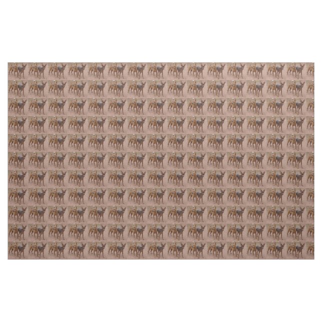 Tissu groupe (Yard)