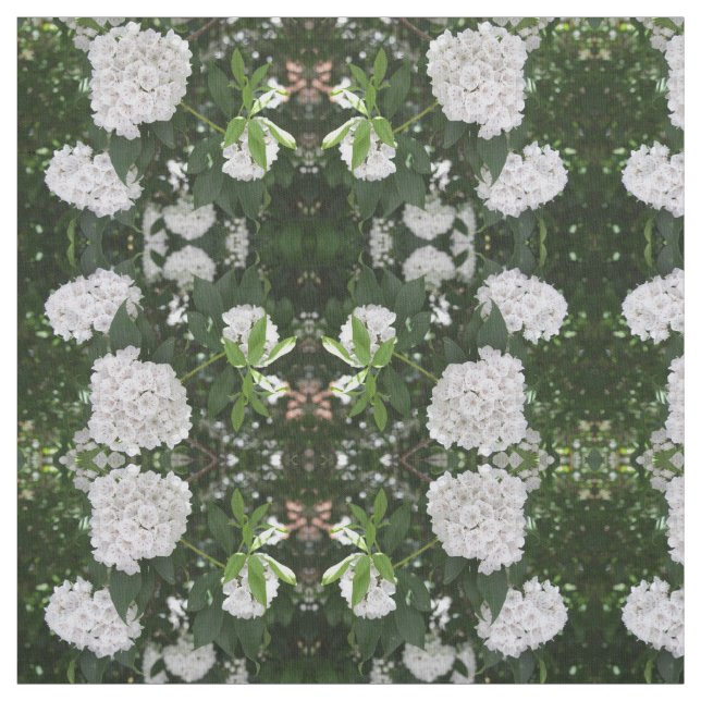 Tissu Groupes en forme d'étoile blancs de laurier de (Échantillon)