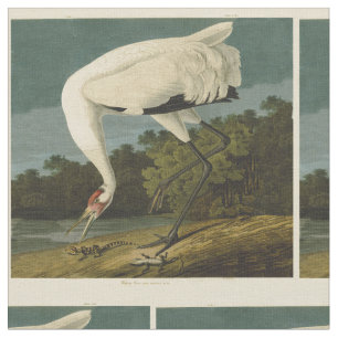Tissu Grue blanche Audubon Peinture d'oiseaux