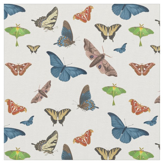 Tissu halloween creepy moth print (Fermer)