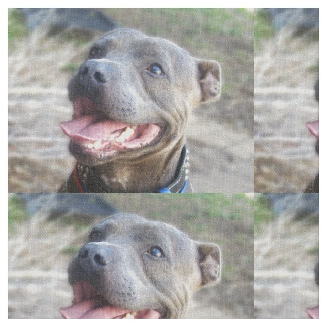 Tissu Happy Staffordshire Bull Terrier, (Fermer)