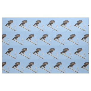 Tissu Harris colportent