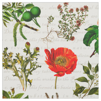 Tissu Herbarium des fleurs de plantes pharmaceutiques Mé