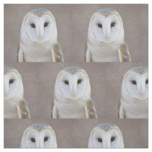 Tissu Hibou de grange