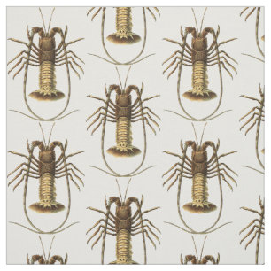 Tissu Homard vintage
