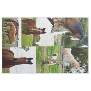Tissu Horse_Collage, Coton peigné (56 po de largeur) Mat