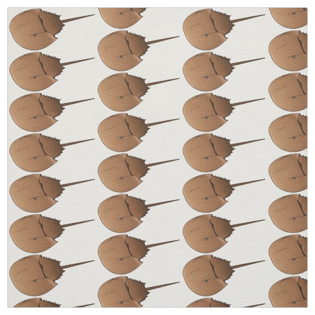Tissu Horseshoe crab (Échantillon)