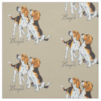 Hound beagle
