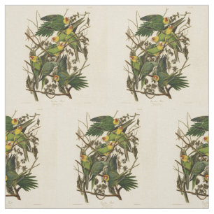 Tissu Illustration Audubon Carolina Parrot Bird