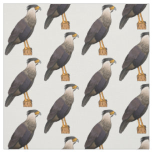 Tissu illustration de dessin animé d'oiseau caracara hup