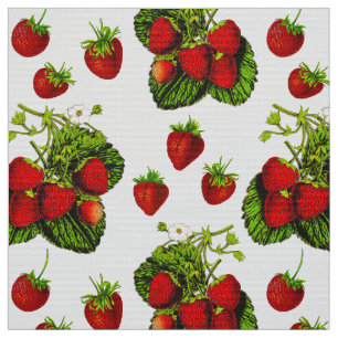 Tissu Illustration de fraise botanique Imprimer sur blan