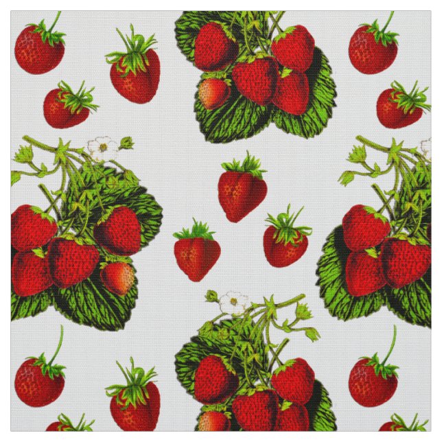 Tissu Illustration de fraise botanique Imprimer sur blan (Échantillon)