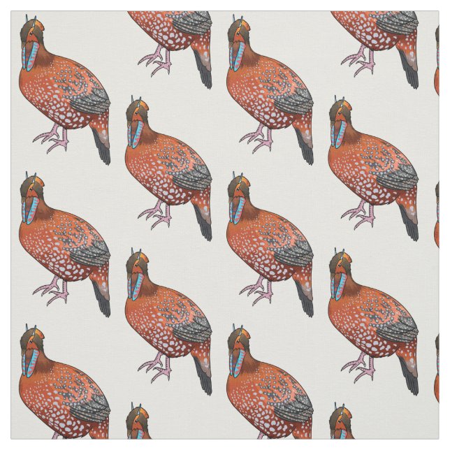 Tissu Illustration de la tragédie de Cabot (Échantillon)