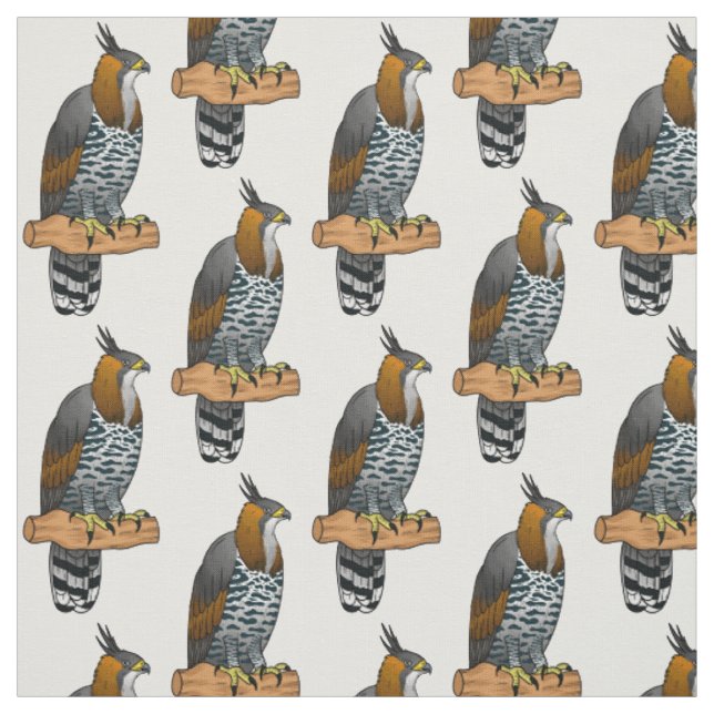 Tissu Illustration de l'aigle à faucon orné (Échantillon)