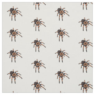 Tissu Illustration de Tarantula
