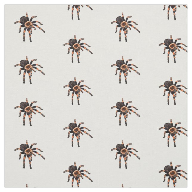 Tissu Illustration de Tarantula (Échantillon)