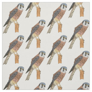 Tissu Illustration d'oiseau américain Kestrel