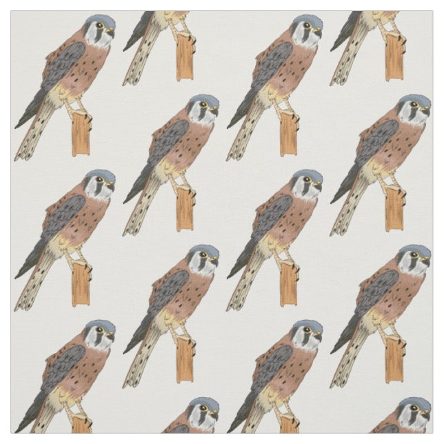 Tissu Illustration d'oiseau américain Kestrel (Échantillon)