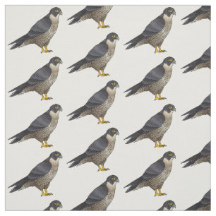 Tissu Illustration d'oiseau de faucon pèlerin