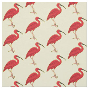 Tissu Illustration d'oiseau Scarlet ibis