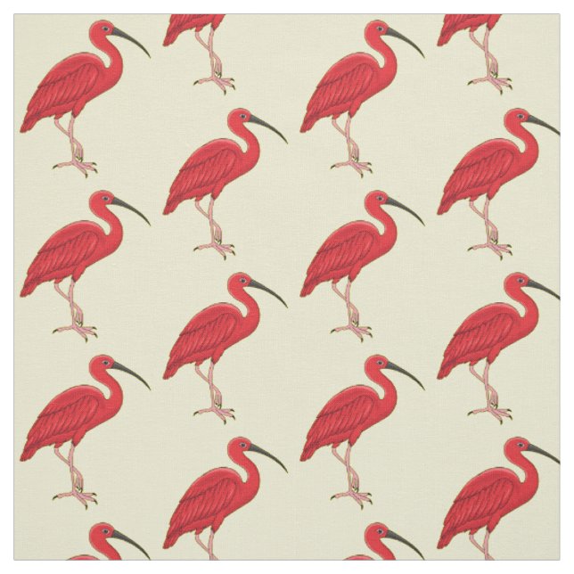 Tissu Illustration d'oiseau Scarlet ibis (Échantillon)