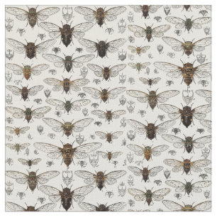 Tissu Illustration vintage de cigales