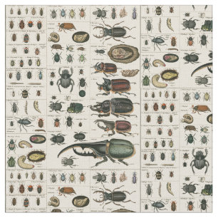 Tissu Illustration vintage de scarabée