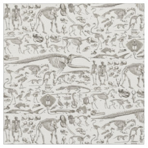 Tissu Illustration vintage des os humains et animaux