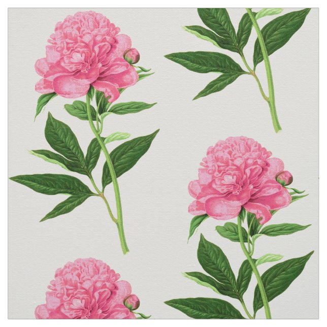 Tissu Impression Botanique vintage, Grande Peine Rose (Échantillon)