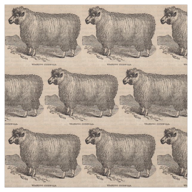 Tissu Imprimé au 19e siècle année Cotswold brebis (Échantillon)
