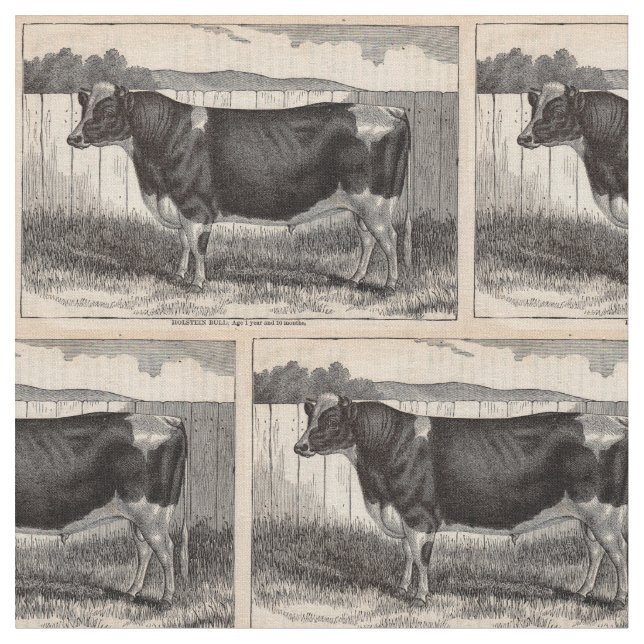 Tissu Imprimerie du 19e siècle Holstein taureau (Fermer)
