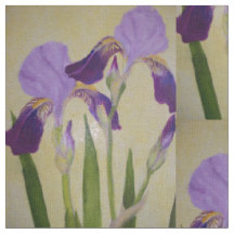 Iris pourpre par des bbillips