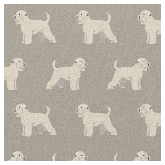 Tissu irlandais à blé taureau (Fermer)
