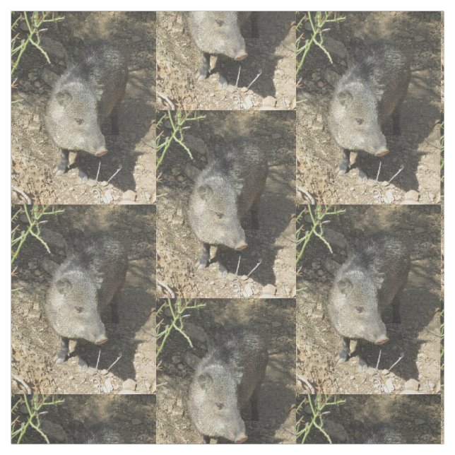 Tissu Javelina (Échantillon)
