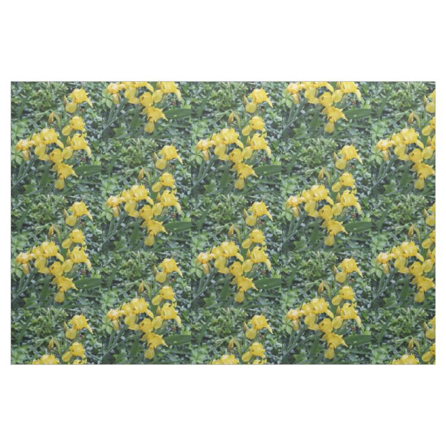 Tissu Joli Jaune Irises Fleurs De Jardin (Fat Quarter)
