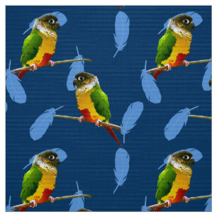 Tissu Jouer Vert Conure Parakeet Amusant Oiseau Plumes B